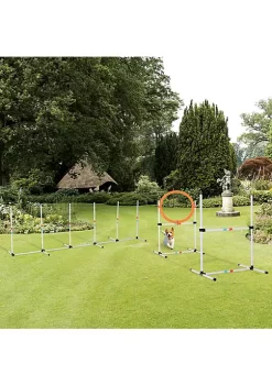 Best reviews of ⌛ PawHut 3PC Portable Pet Agility Pet Training Set 🦮 Dog Obstacle Exercise Adjustable Jump Ring High Jumper w/ Carry Bag 🎉 -Cheap PawHut Store Belk 1545