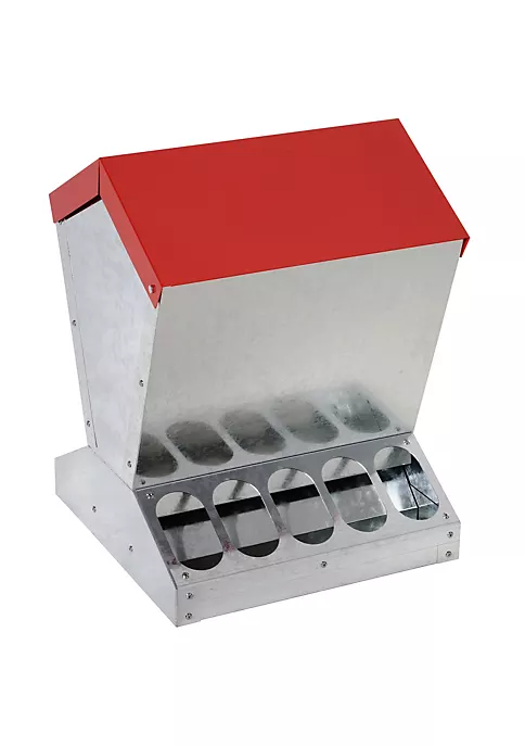 Coupon ๐ PawHut Automatic Chicken and Poultry No Waste Feeder with Protective Lid for up to 10 Chickens Holds 25lbs of Feed โ๏ธ 4 Coupon ๐ PawHut Automatic Chicken and Poultry No Waste Feeder with Protective Lid for up to 10 Chickens Holds 25lbs of Feed โ๏ธ - Image 2